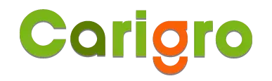 Carigo Logo